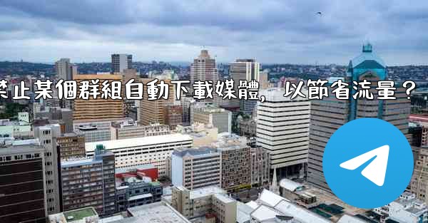 Telegram如何禁止某個群組自動下載媒體，以節省流量？