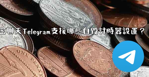 秘密聊天Telegram支援哪些自毀計時器設置？