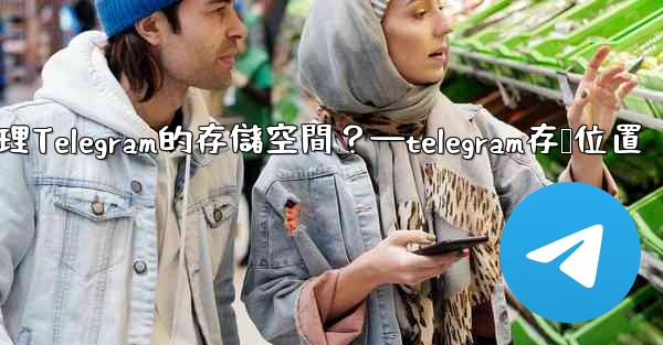<b>如何管理Telegram的存儲空間？—telegram存储位置</b>