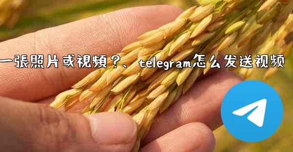 <b>Telegram如何發送一張照片或視頻？、telegram怎么发送视频</b>