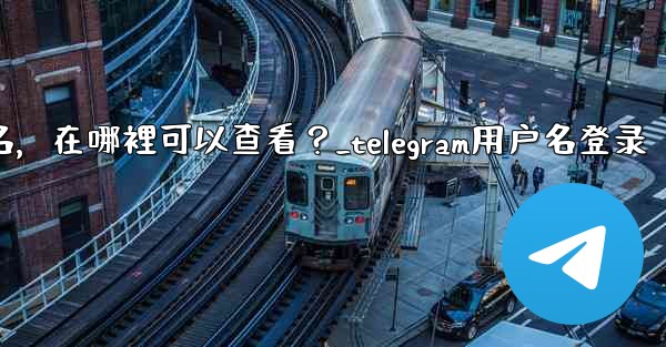 我忘記了Telegram用戶名，在哪裡可以查看？_telegram用户名登录