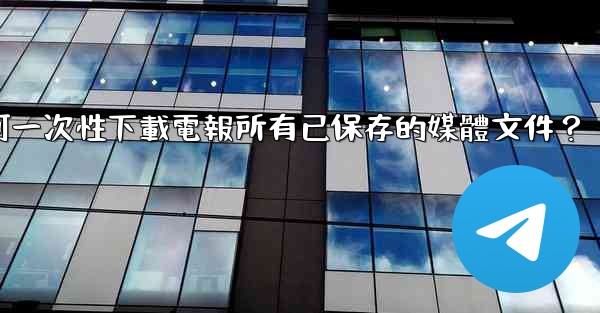 <b>如何一次性下載電報所有已保存的媒體文件？</b>