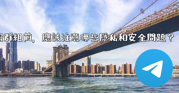 加入一個陌生電報群組前，應該注意哪些隱私和安全問題？