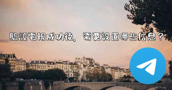 驗證電報成功後，需要設置哪些信息？