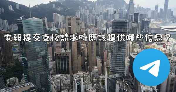 電報提交支援請求時應該提供哪些信息？