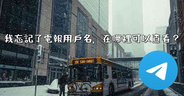 <b>我忘記了電報用戶名，在哪裡可以查看？</b>