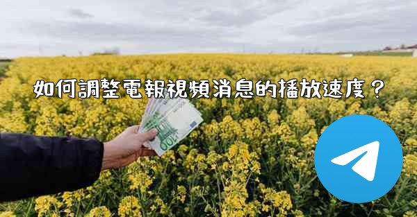 如何調整電報視頻消息的播放速度？