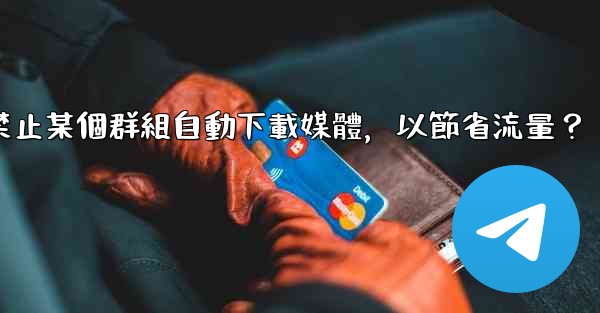 電報如何禁止某個群組自動下載媒體，以節省流量？