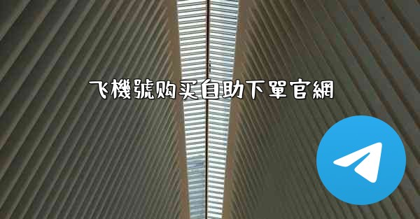 飞機號购买自助下單官網