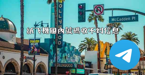 纸飞機國內號碼收不到信息