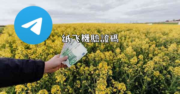 纸飞機驗證碼