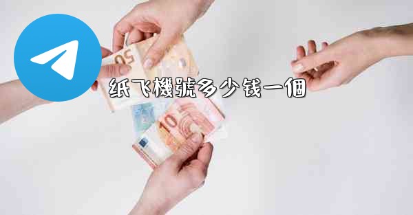 纸飞機號多少钱一個