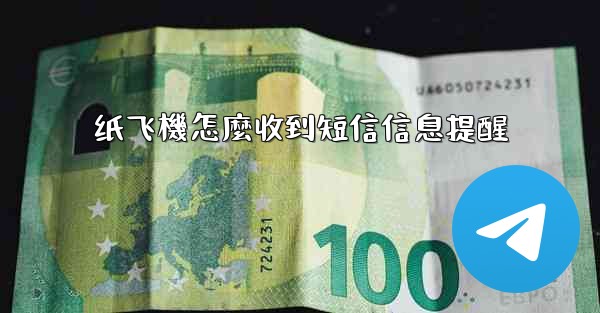 纸飞機怎麼收到短信信息提醒