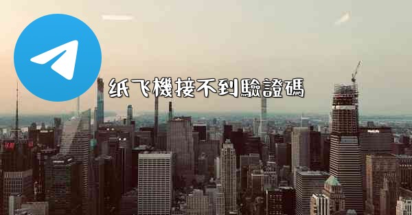 纸飞機接不到驗證碼