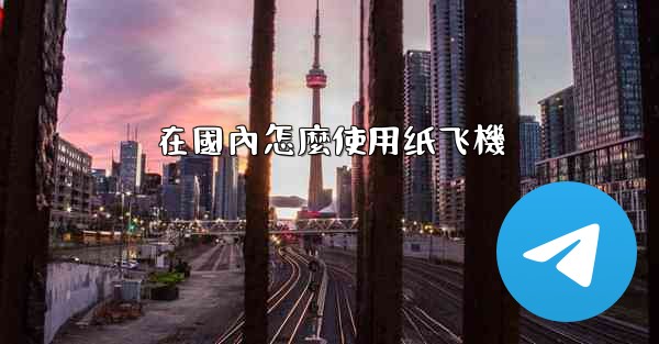 在國內怎麼使用纸飞機