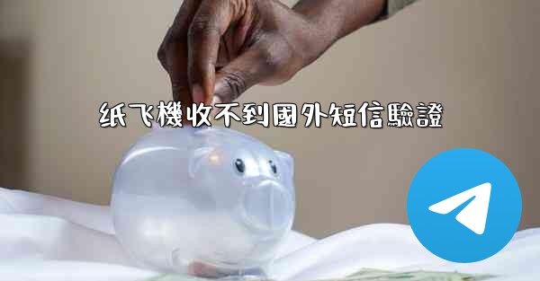 纸飞機收不到國外短信驗證