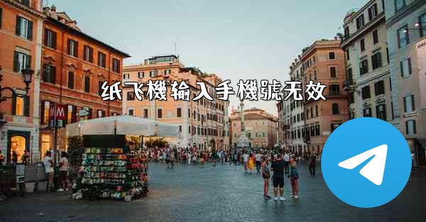 纸飞機输入手機號无效