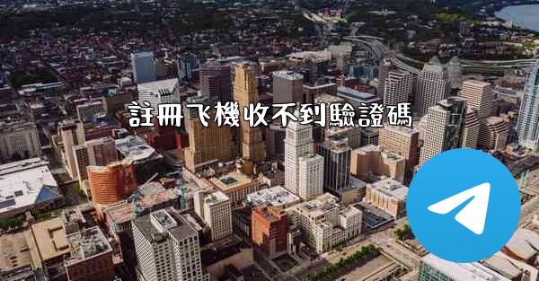 註冊飞機收不到驗證碼