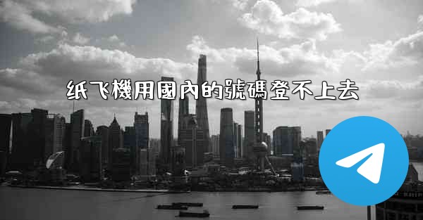 纸飞機用國內的號碼登不上去