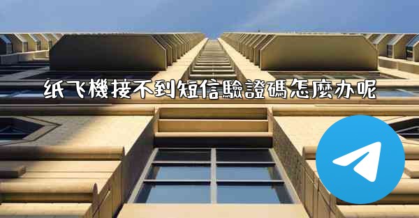 纸飞機接不到短信驗證碼怎麼办呢