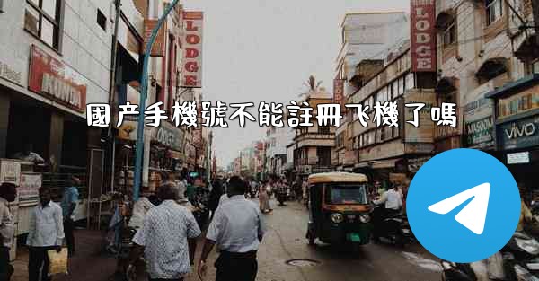 <b>國产手機號不能註冊飞機了嗎</b>