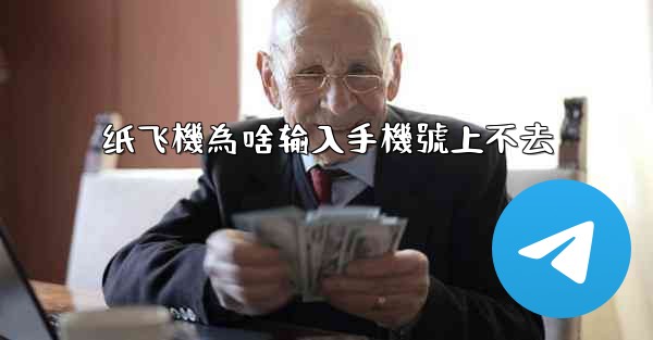 纸飞機為啥输入手機號上不去