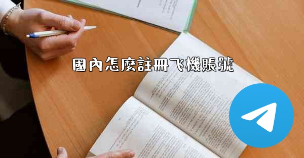 國內怎麼註冊飞機賬號