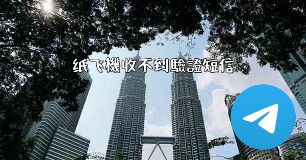 <b>纸飞機收不到驗證短信</b>