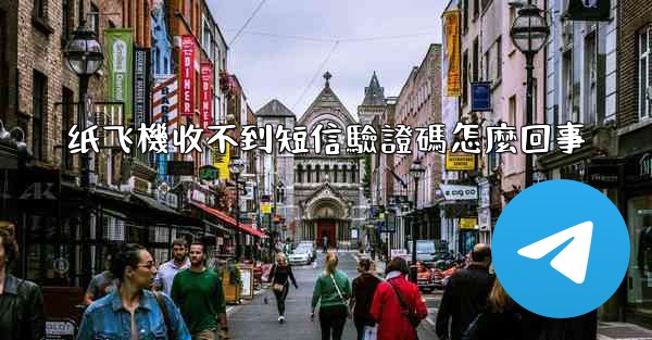 纸飞機收不到短信驗證碼怎麼回事