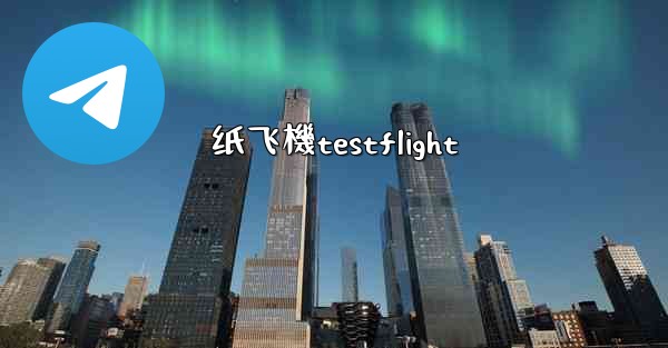 纸飞機testflight