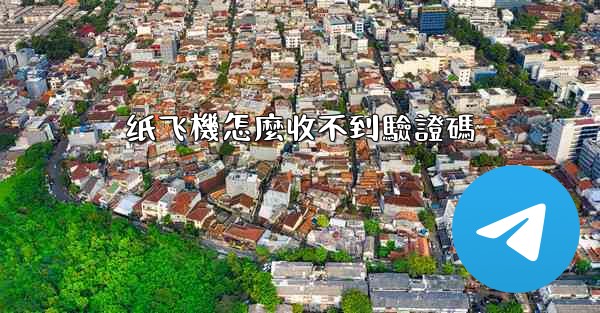 纸飞機怎麼收不到驗證碼