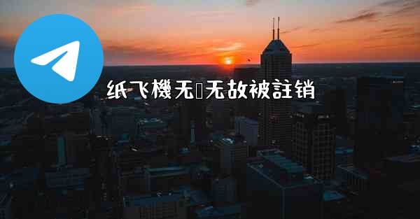 <b>纸飞機无缘无故被註销</b>