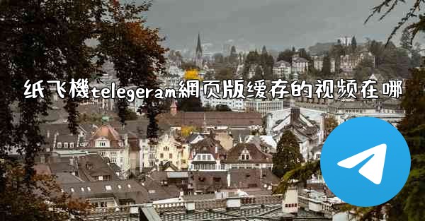 纸飞機telegeram網页版缓存的视频在哪