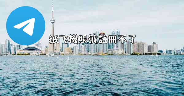 纸飞機賬號註冊不了