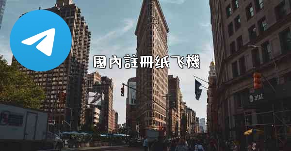 國內註冊纸飞機