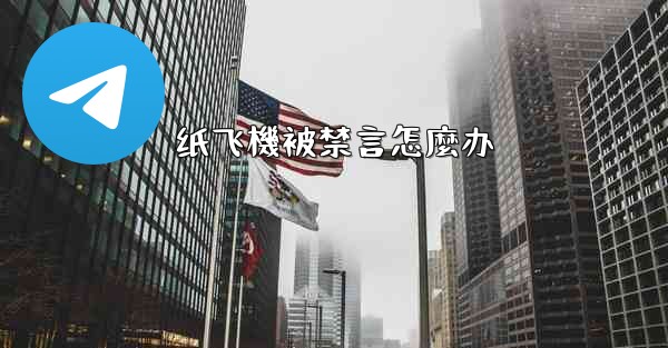 纸飞機被禁言怎麼办