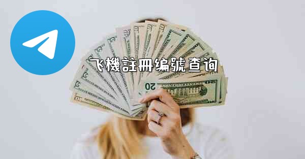 飞機註冊编號查询