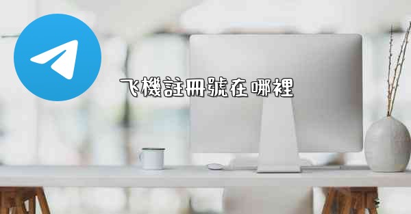 飞機註冊號在哪裡