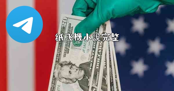 纸飞機小說完整