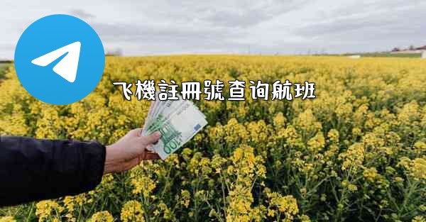 飞機註冊號查询航班