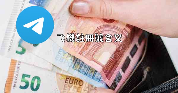 飞機註冊號含义