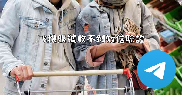 <b>飞機賬號收不到短信驗證</b>