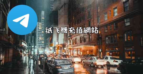 <b>纸飞機充值網站</b>