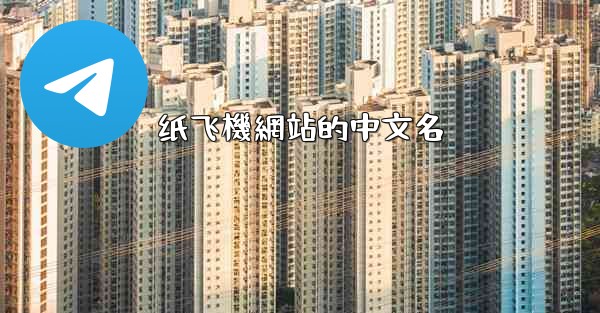 纸飞機網站的中文名