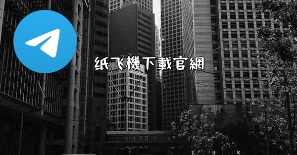 纸飞機下載官網