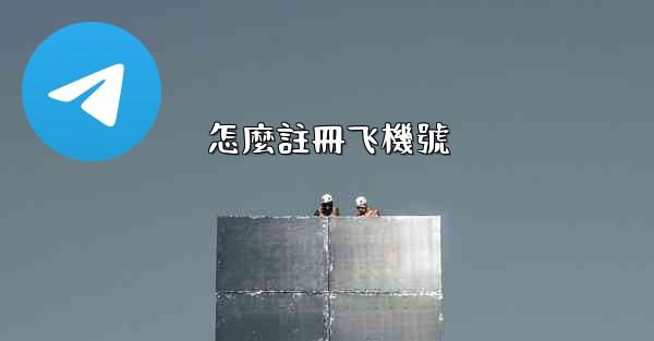 怎麼註冊飞機號