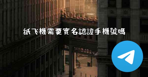 纸飞機需要實名認證手機號嗎