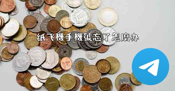 纸飞機手機號忘了怎麼办