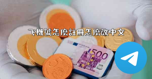 飞機號怎麼註冊怎麼改中文