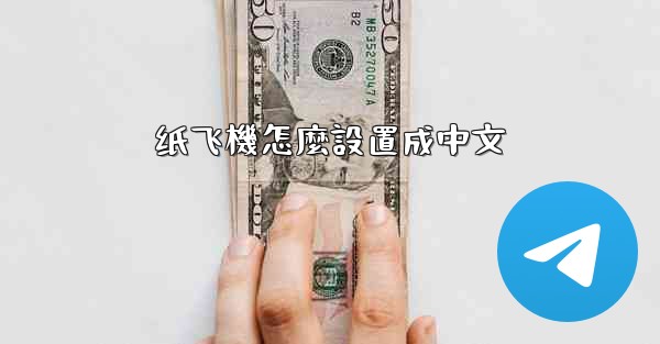 纸飞機怎麼設置成中文